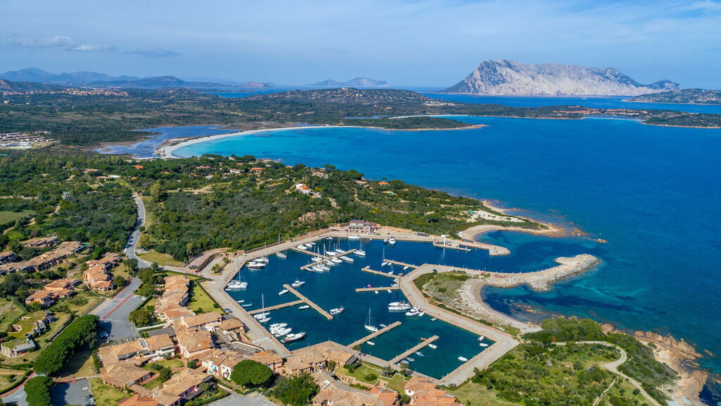 Ideas for villas for rent in San Teodoro. Puntaldìa harbor
