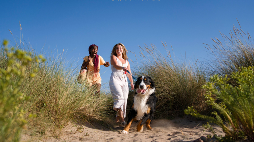 Consigli per una Vacanza in Sardegna con il Cane