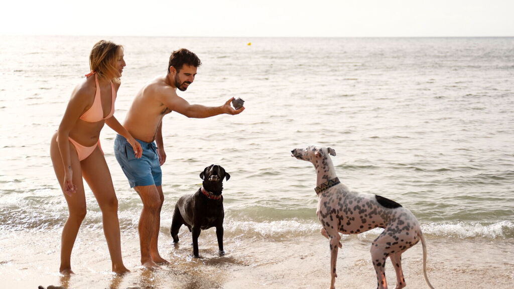 Dog-Friendly Beaches for Your Holiday in Sardinia with Your Dog