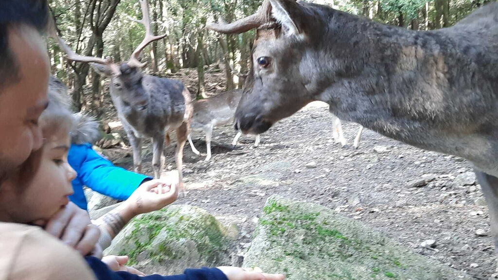 Sardinien, was mit Kindern unternehmen? Donnortei Park
