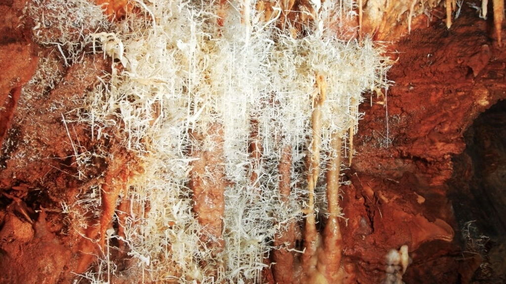 Caves to visit in Sardinia Fig's Cave Baunei
