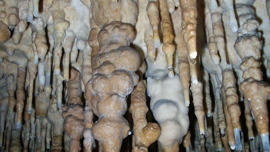 Grotte da visitare in Sardegna Grotta di Ispinigoli Dorgali Grotte da visitare in Sardegna Grotta di Ispinigoli Dorgali