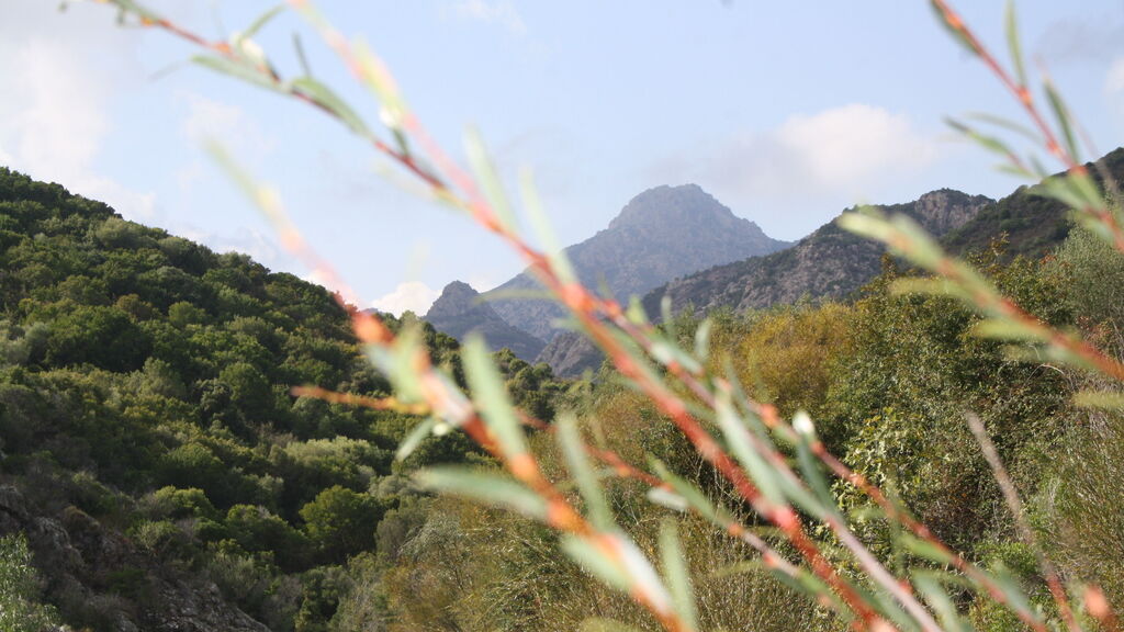 Was gibt es in San Teodoro zu sehen? Monte Nieddu