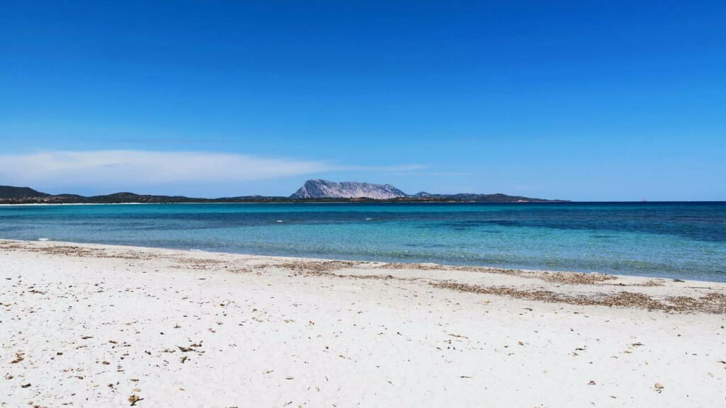 What to see in San Teodoro? La Cinta