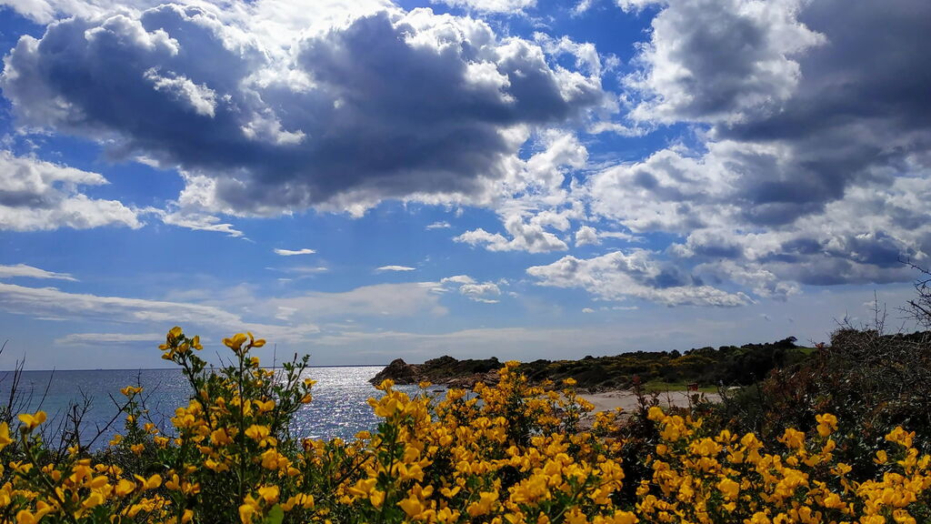 5 cose da vedere in primavera in Sardegna. mare 5 cose da vedere in primavera in Sardegna. mare