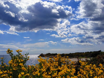 Lente: 5 dingen die je kunt zien en bezoeken op Sardinië