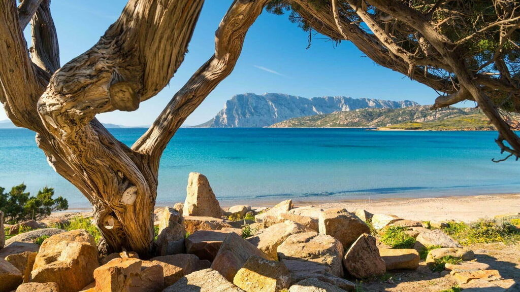 Ideas for a last minute holiday in Sardinia in August. San Teodoro Ideas for a last minute holiday in Sardinia in August. San Teodoro