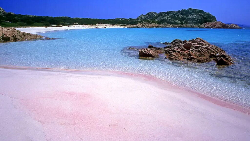 Islands of Sardinia: the ultimate guide Budelli Pink Beach