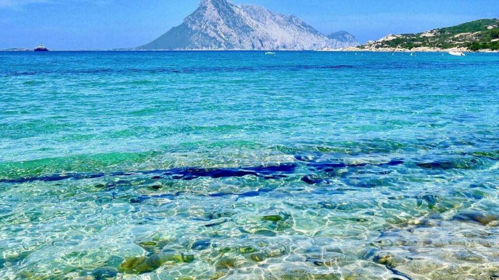 Islands of Sardinia: the ultimate guide Tavolara Sea