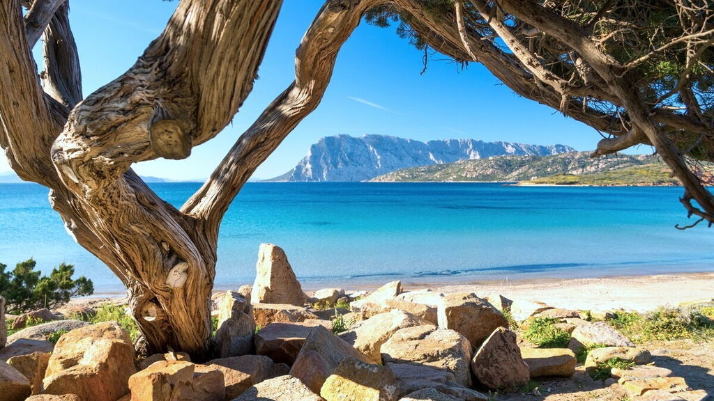 capo coda cavallo beach sardinia