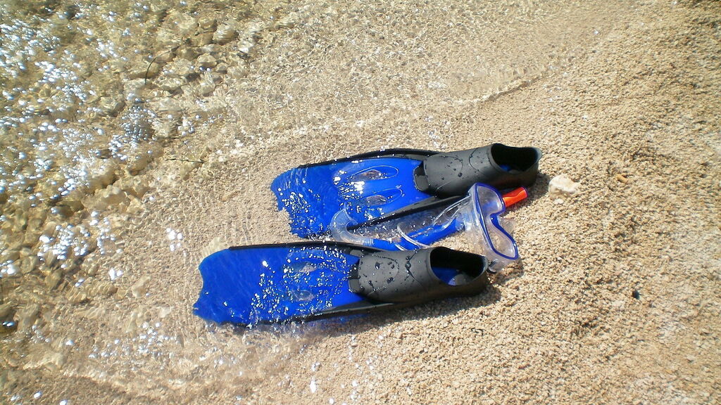 Snorkeling in Sardinia: our guide. Finns and mask