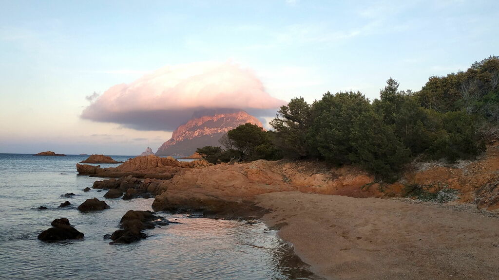 Ville in affitto ideali in nord Sardegna. Cala Finanza