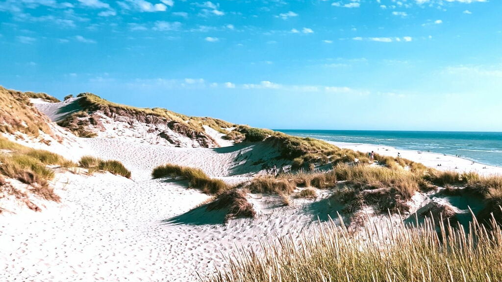 Secluded beaches in Sardinia. Sand dunes Secluded beaches in Sardinia. Sand dunes