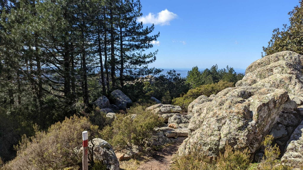 5 cose da vedere a Tempio Pausania. bosco 5 cose da vedere a Tempio Pausania. bosco