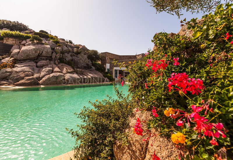 Villa Ephelia: Outdoor, Pool