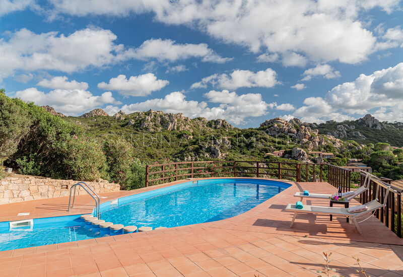 Villa Violetta Vita: Schwimmbad