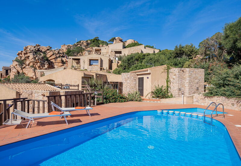 Villa Violetta Vita: Draussen, Schwimmbad