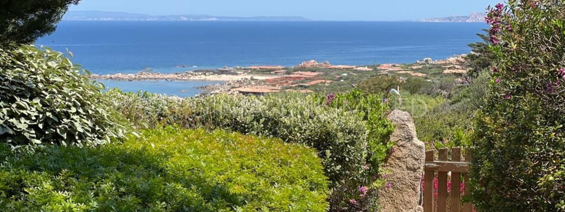 Villa Portobello di Gallura: Villa for rent with Portobello di Gallura sea view