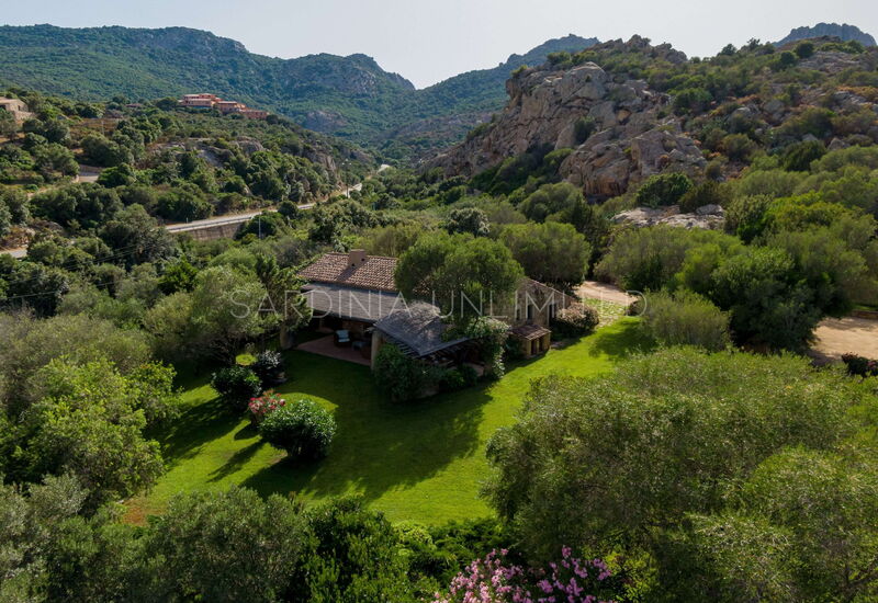 Villa Antares: Garden