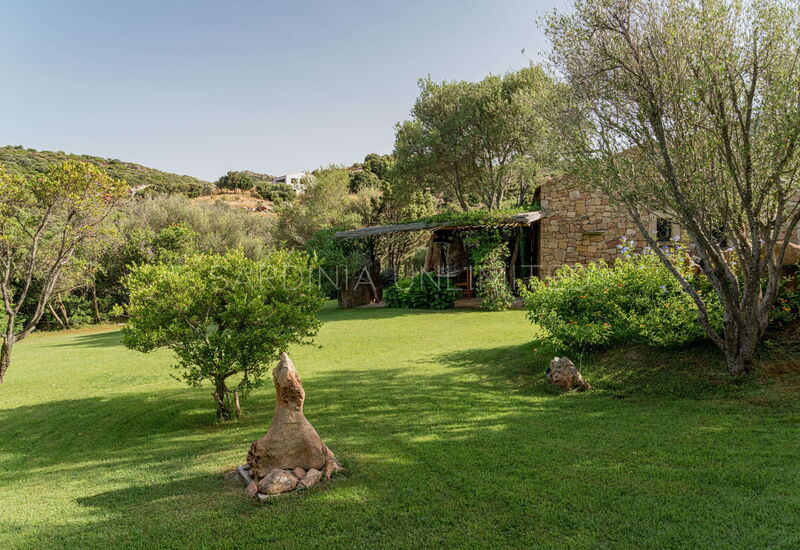 Villa Antares: villa for rent with garden arzachena