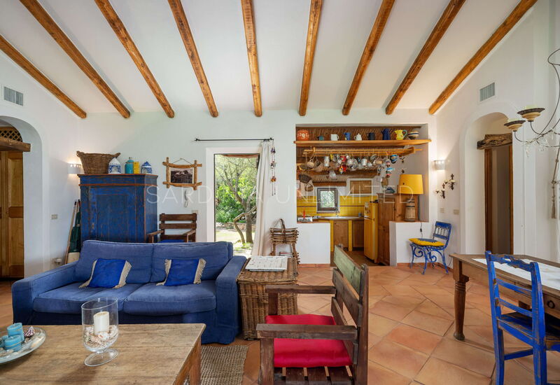 Villa Antares: villa for rent arzachena living room