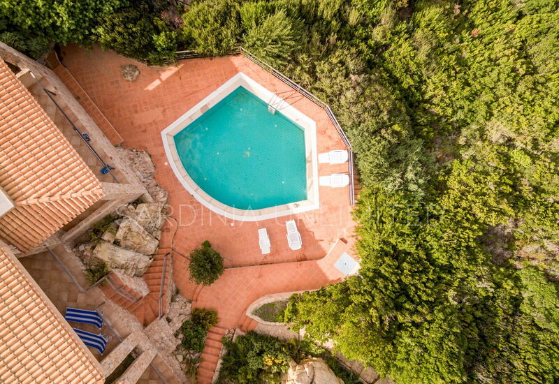 Casa Rosa Blu: Draussen, Schwimmbad