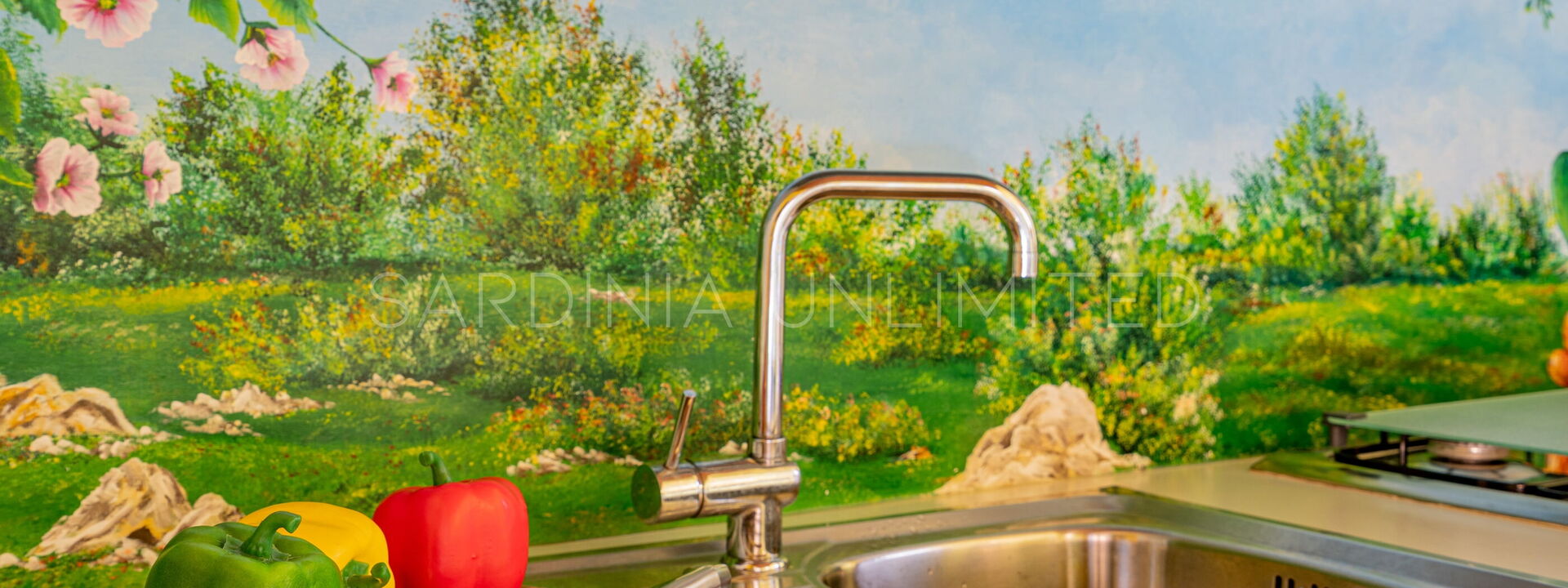 Villa Auriga: Amenities