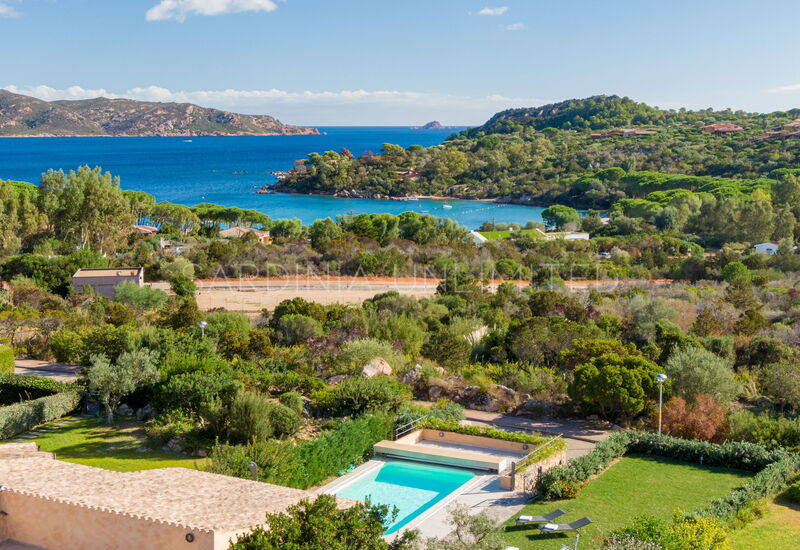 Villa Auriga: Building Exterior, Pool