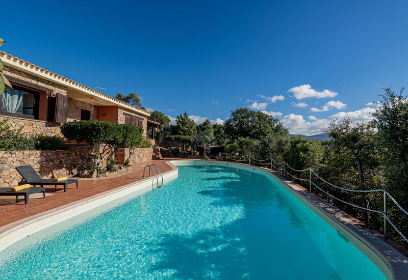 Villa Lilibeth: Pool