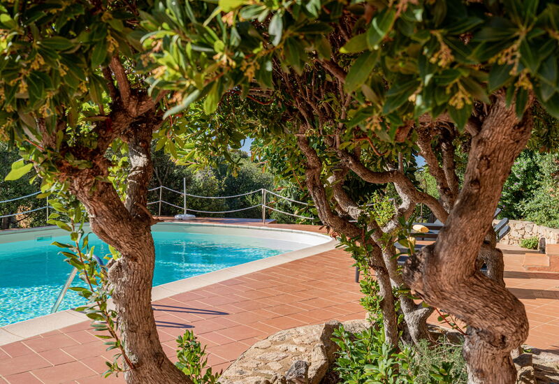 Villa Lilibeth: Building Exterior, Pool