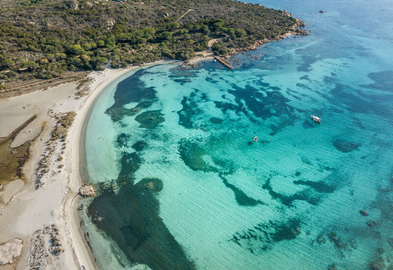 Villa Domus Ardea: Outdoor