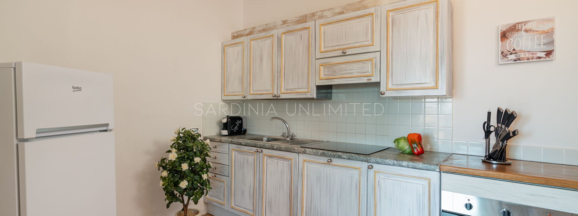 Villetta Ligea: Kitchen
