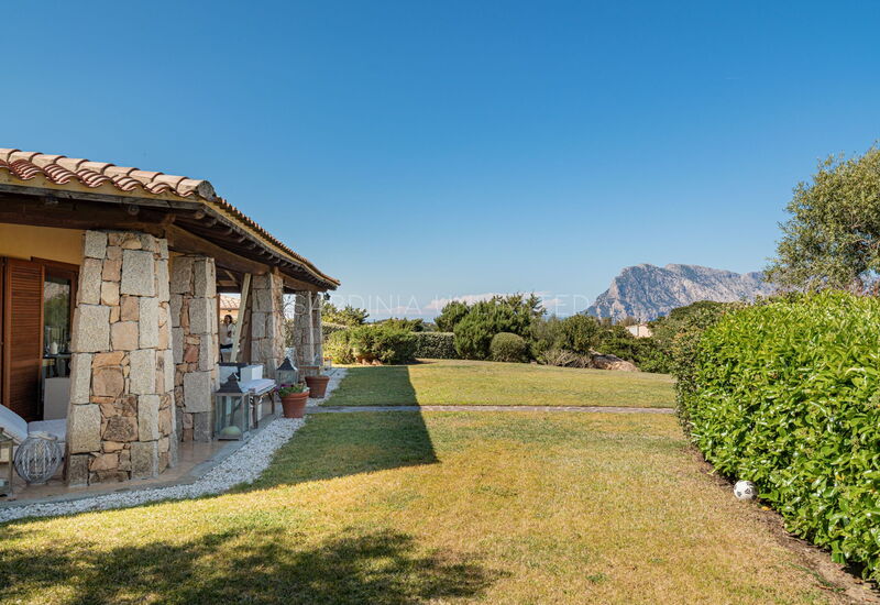 Villa Il Segreto Di Nereo