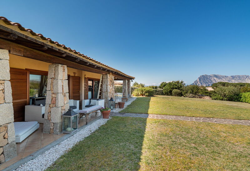 Villa Il Segreto Di Nereo