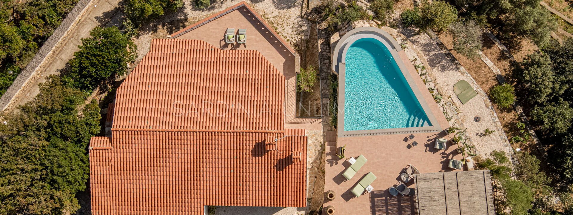 Villa White Elegance: bassin