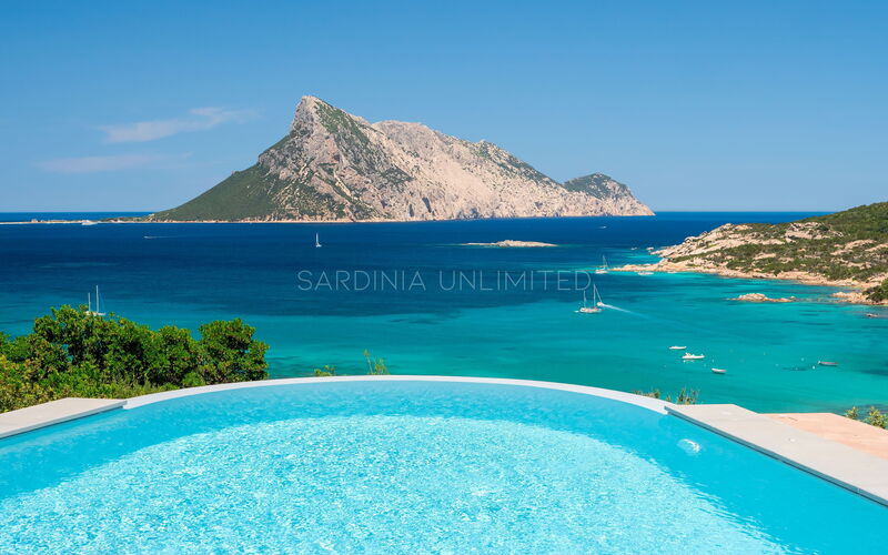 Villa White Elegance