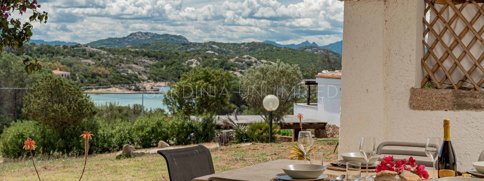 Villetta Lilac: Взгляды, Экстерьеры