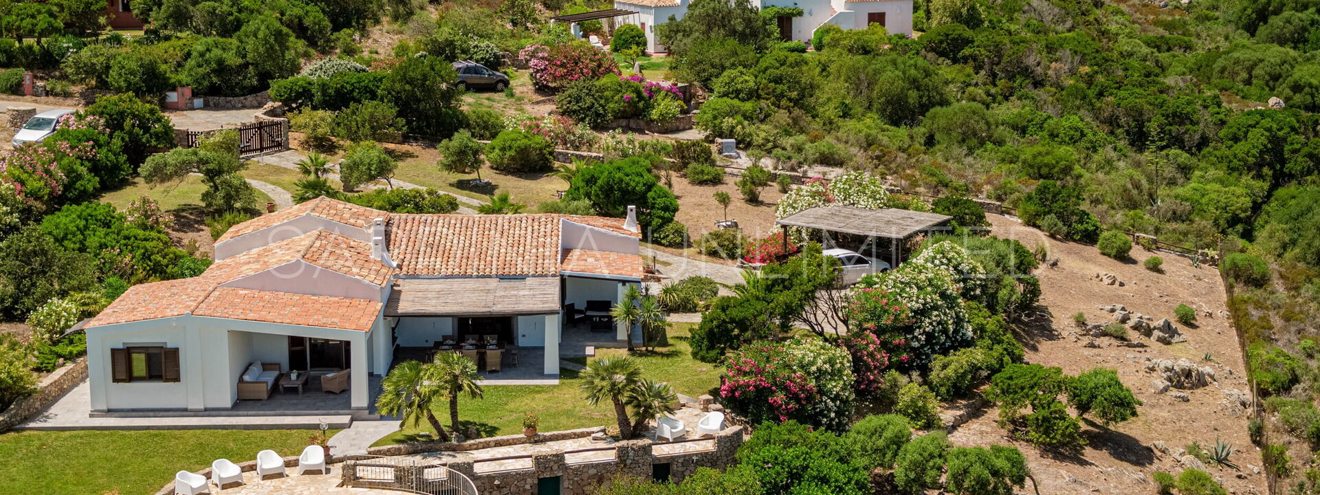 Villa Verdant: Buitenkanten, zwembad