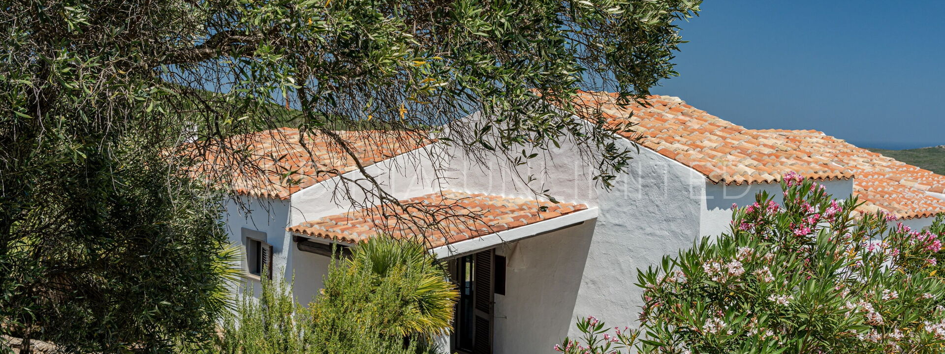 Villa Verdant: Buitenkanten