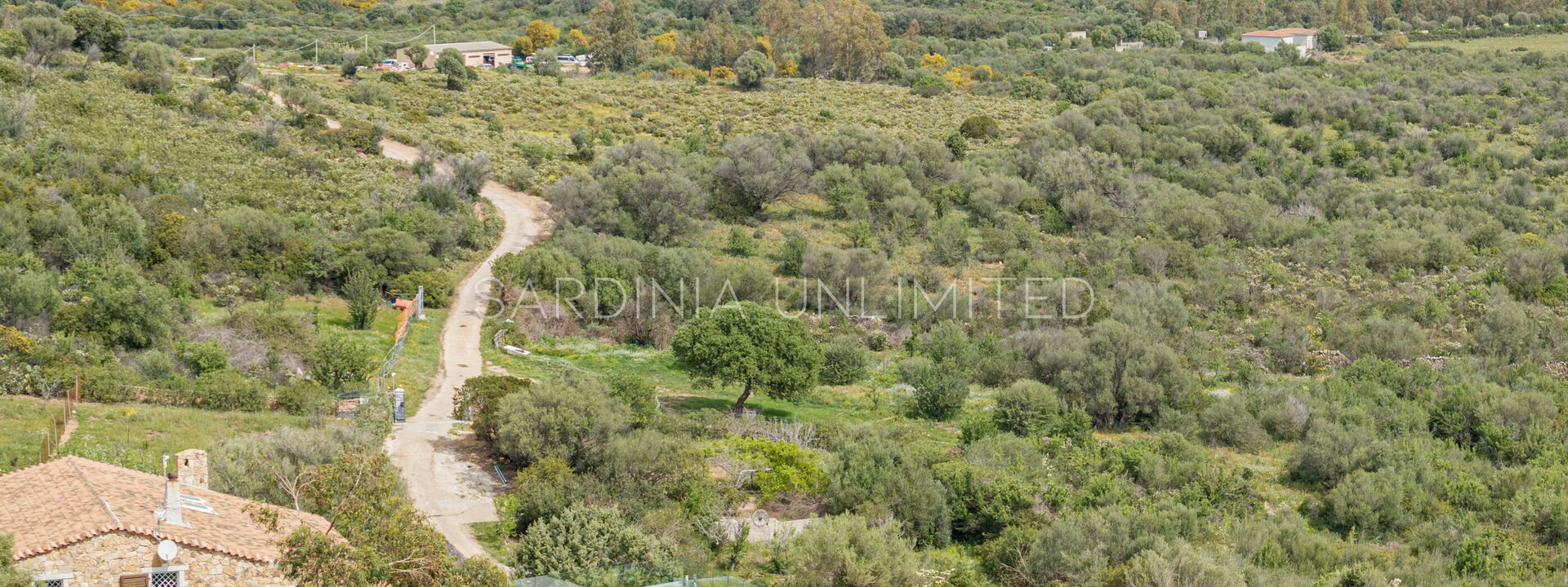 Villa i Venti di Molara: Extérieurs, Vues