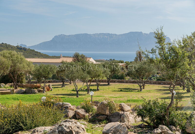 Villa Sinfonia Delle Onde