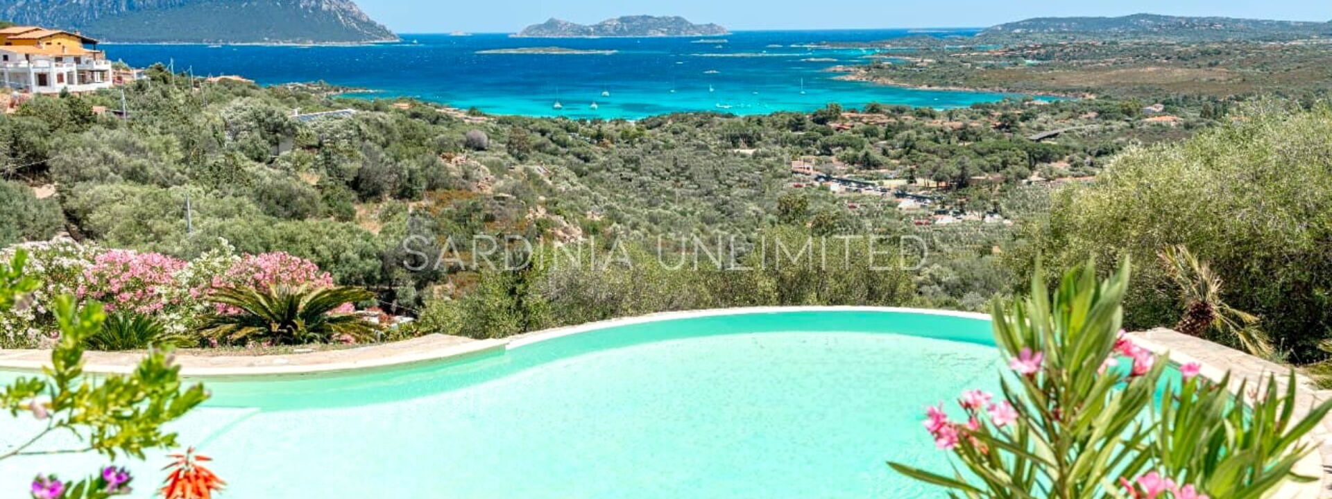 Villa Selene Blu: Buitenkanten, zwembad