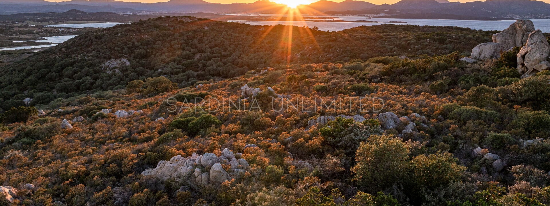 Villa Selene Blu: Keer bekeken