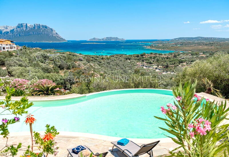 Villa Selene Blu: Building Exterior, Pool