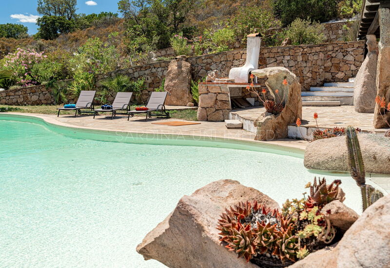 Villa Selene Blu: Pool