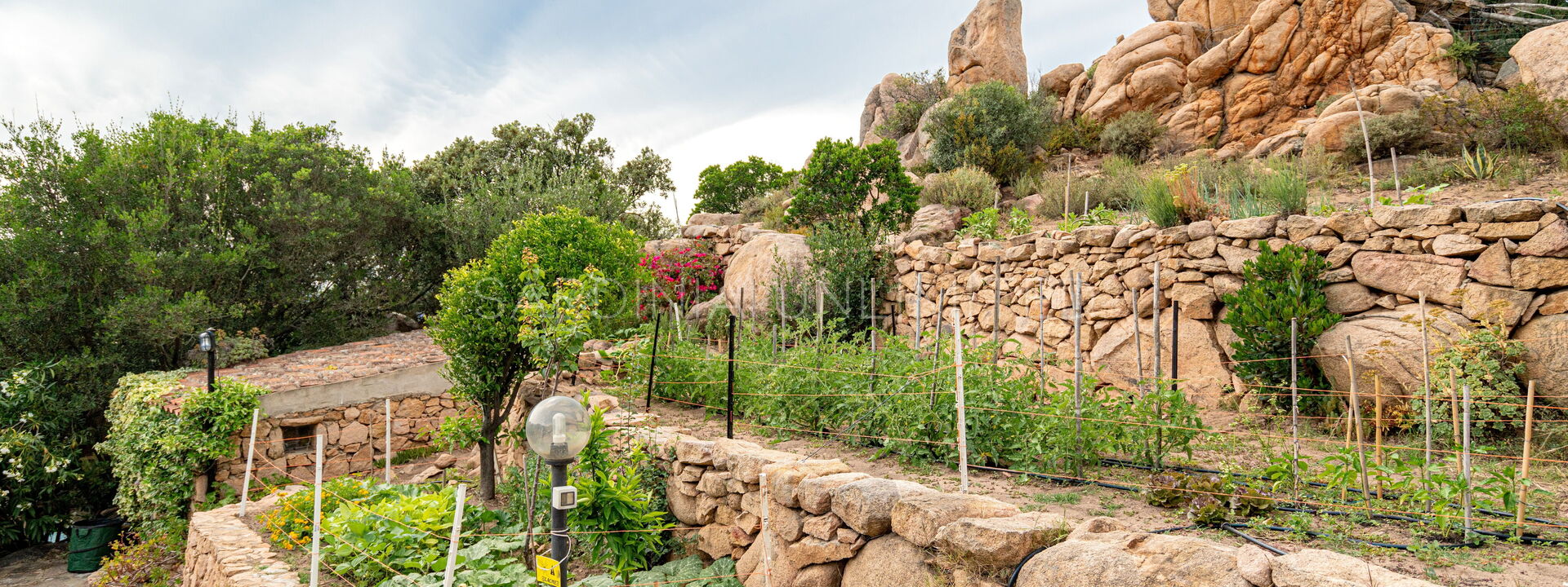 Villa Rocce Incantate: Garden