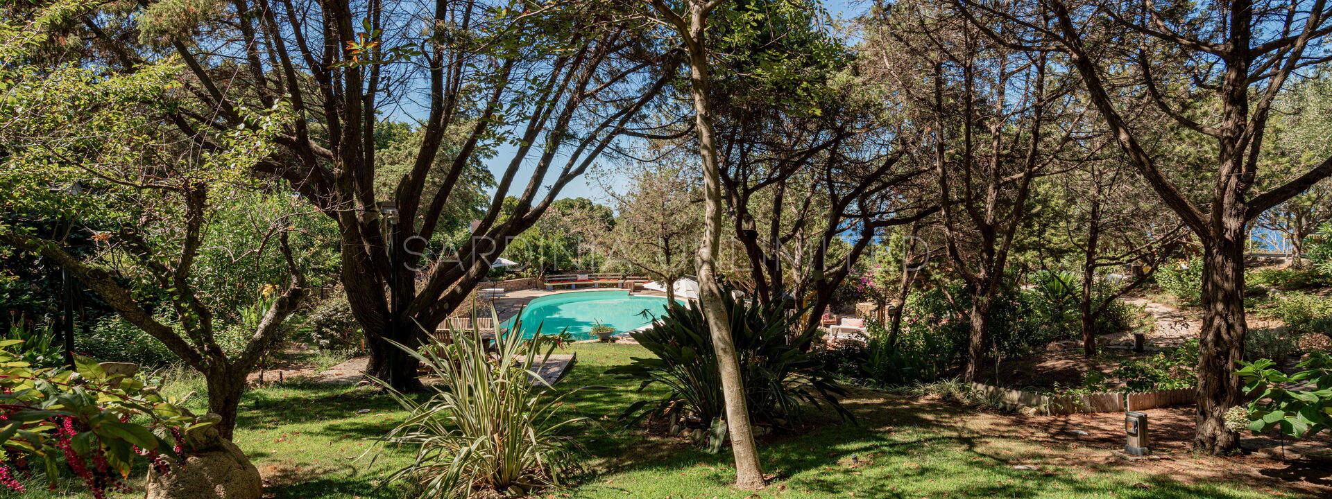 Villa Alba delle Filigrane