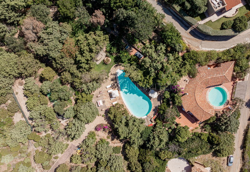 Villa Alba Delle Filigrane