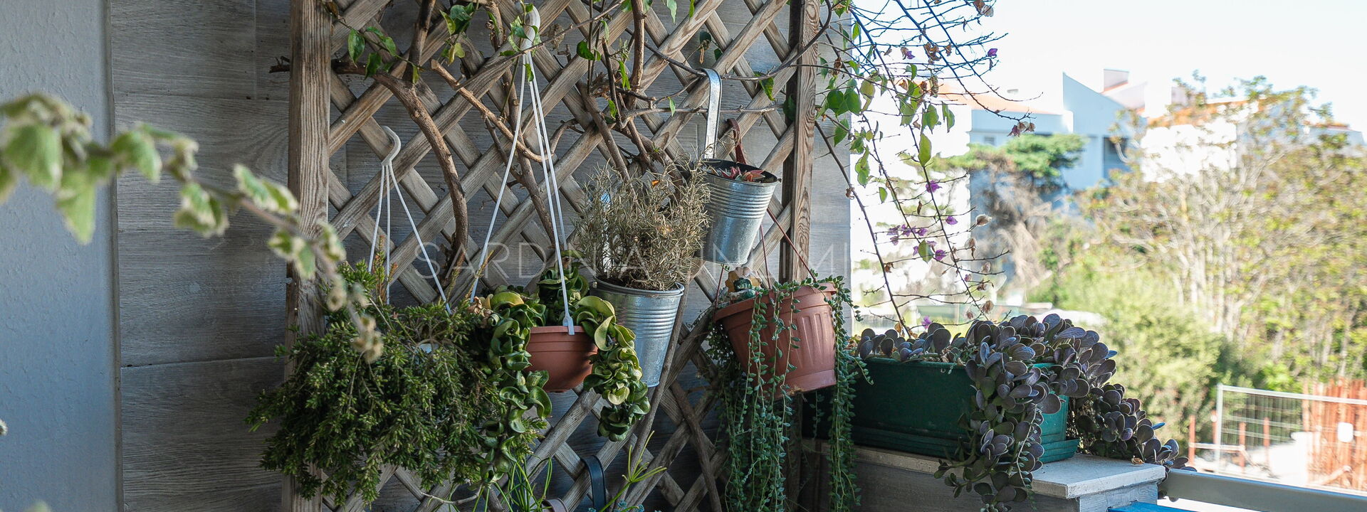 Acqua Salata Beach Apartment