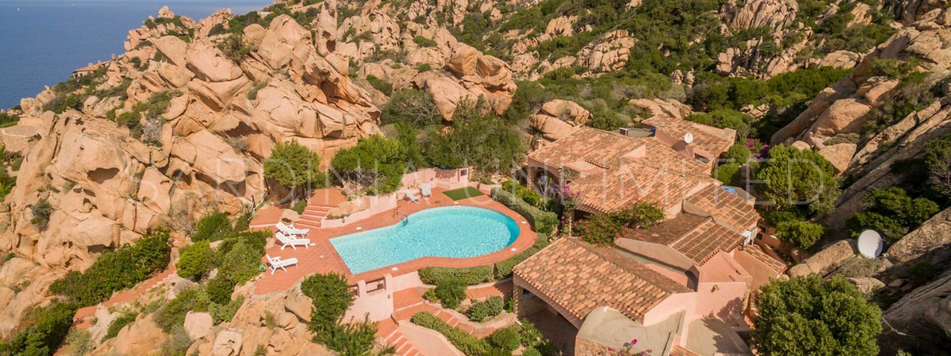 Corbezzolo Giallo: Взгляды